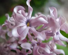 关于?想腲N?N_)7蚹竡$瓣詣?薟t的信息-九游游戏平台