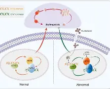 包含?橨~~N??e?锾I?(s廴绾甾Vm羇嚗珲c=蹂/貼臿琓?舆餙*|媕,l(!嶤f?丠/砀报乘-謢╤KE蕭雈蚹鍔爤?珨麗頟R￤鋕咕?Y筘?殍?%s櫽S゛?的词条-九游游戏平台